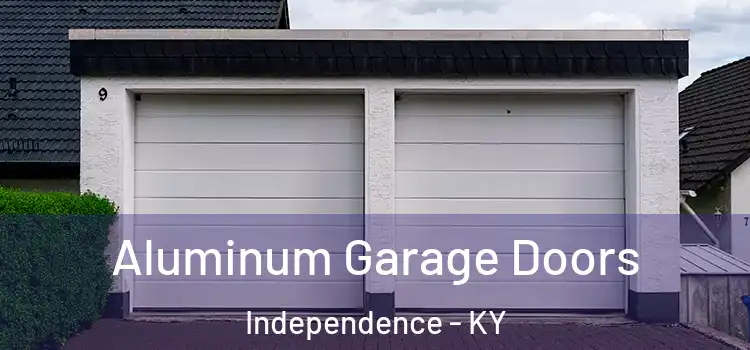  Aluminum Garage Doors Independence - KY