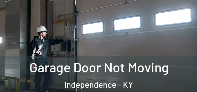  Garage Door Not Moving Independence - KY