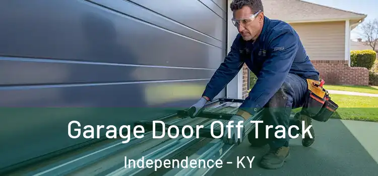  Garage Door Off Track Independence - KY