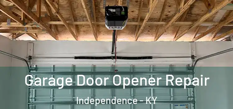  Garage Door Opener Repair Independence - KY