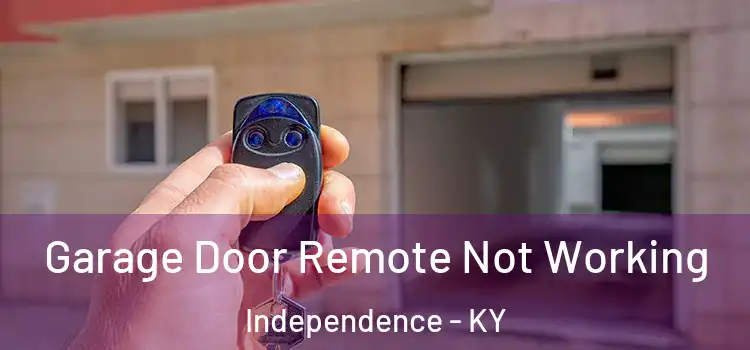  Garage Door Remote Not Working Independence - KY