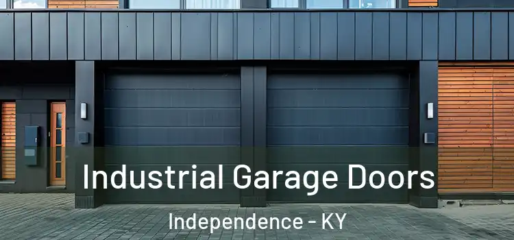  Industrial Garage Doors Independence - KY
