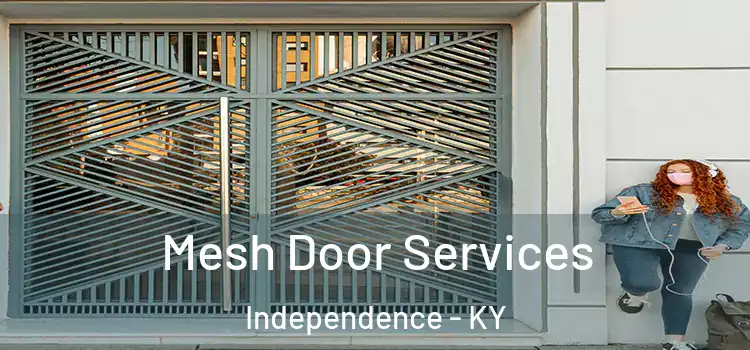 Mesh Door Services Independence - KY