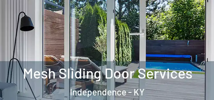  Mesh Sliding Door Services Independence - KY