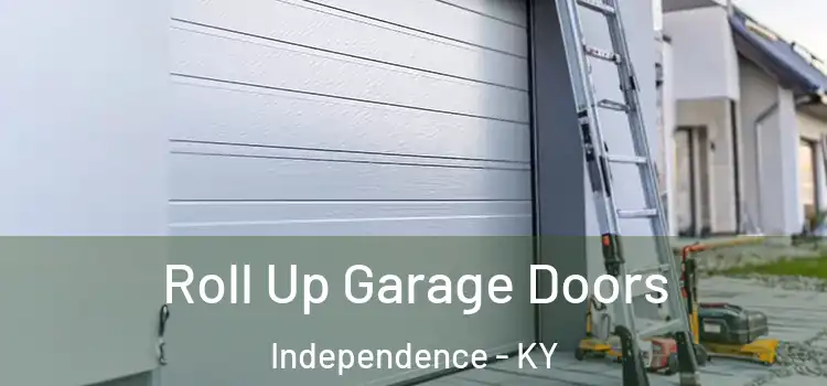  Roll Up Garage Doors Independence - KY